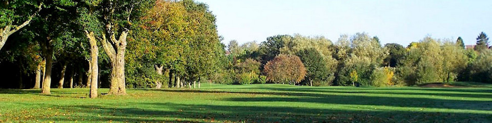 Golf fields in London